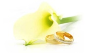 Lily with wedding rings