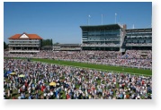 York Racecourse